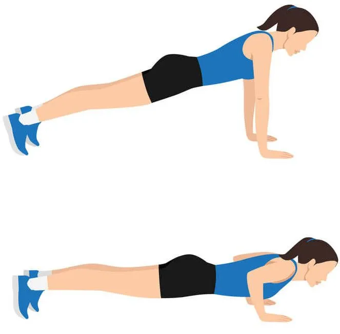 Woman performing Bird Dog exercise for core stability and balance