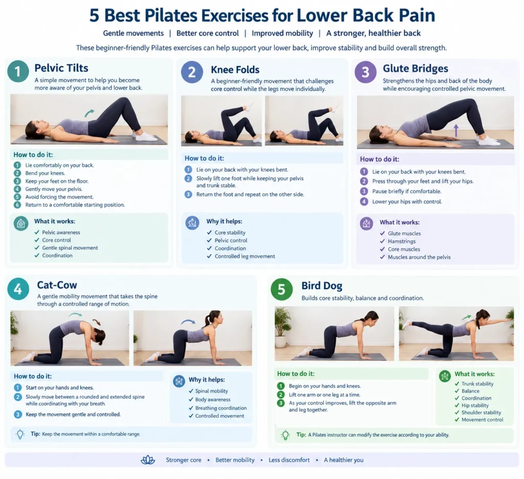 5 Pilates Exercises for Lower Back Support